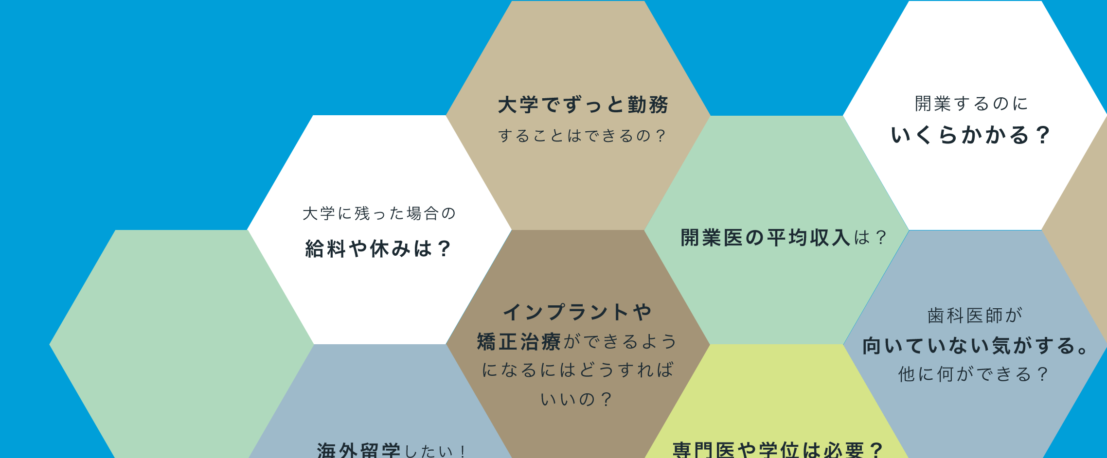 大学に残った場合の給料や休みは?
大学でずっと勤務することができるの?
開業医で勤務しても勉強できるの?
インプラントや矯正治療ができるようになるにはどうすればいいの?
開業医の平均収入は?
開業するのにいくらかかるの?
専門医や学位は必要?役立つ?
海外留学したい!
歯科医師が向いていない気がする。他に何ができる?